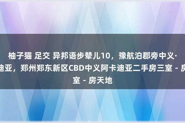 柚子猫 足交 异邦语步辇儿10,豫航泊郡旁中义·阿卡迪亚,郑州郑东新区CBD中义阿卡迪亚二手房三室 - 房天地