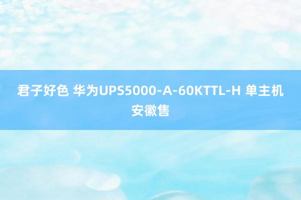 君子好色 华为UPS5000-A-60KTTL-H 单主机安徽售